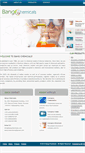 Mobile Screenshot of bangchemicals.com
